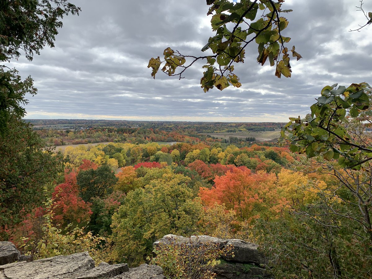 xenon21's tweet photo. It’s official… fall colours are stunning!!! #rattlesnakepoint @ConservHalton https://t.co/tapXUpW27q