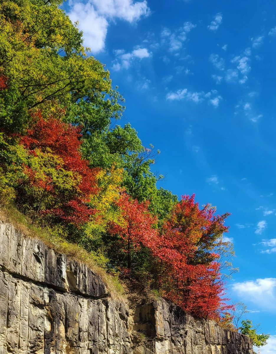 brobwx's tweet photo. Some amazing fall scenes from on top of Black Mountain! 📸: Maurica Cornett #FallInTheMountains #wymtwx https://t.co/I8q5Go64cz