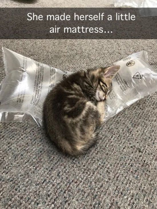 WholesomeMemes tweet media
