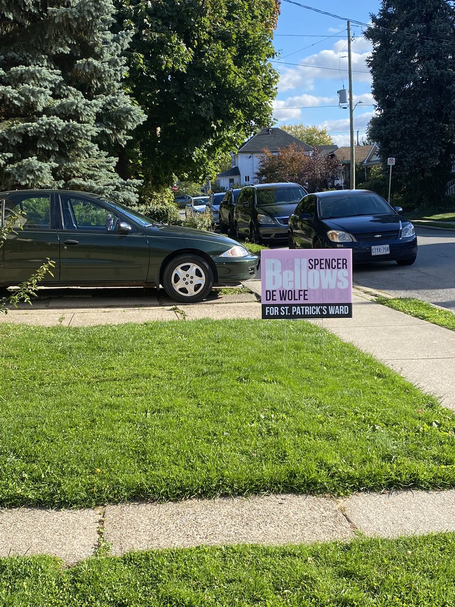 BellowsDewolfe's tweet photo. Sunshine and pink signs. Successful day canvassing https://t.co/SVtjdije7L