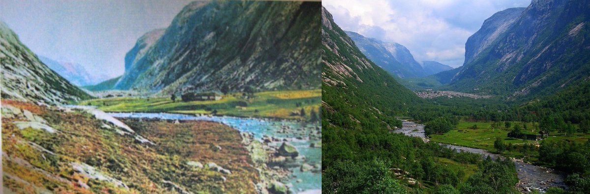 The Woodland League tweet media