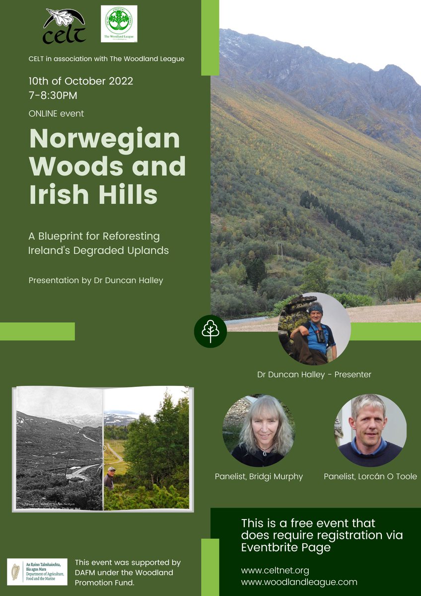 The Woodland League tweet media