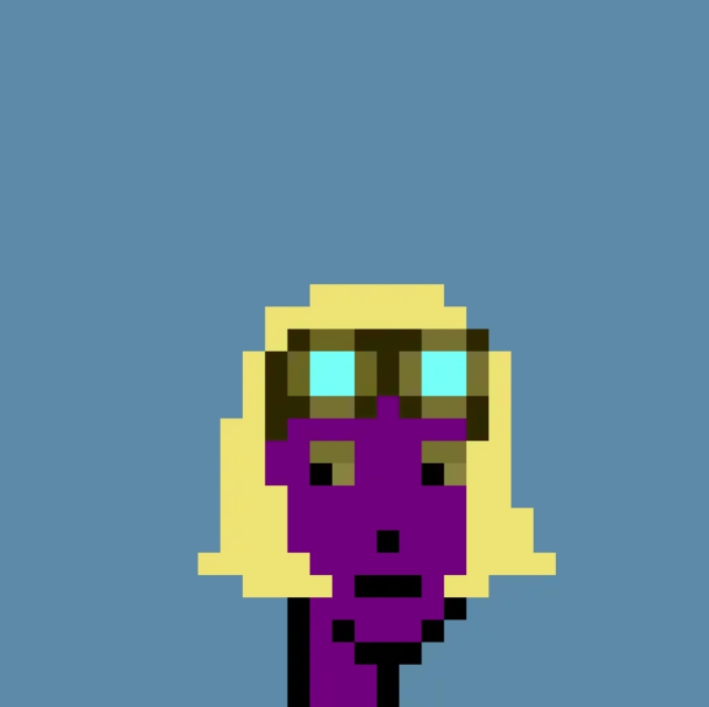 PolygonPunks1's tweet image. opensea.io/assets/matic/0…