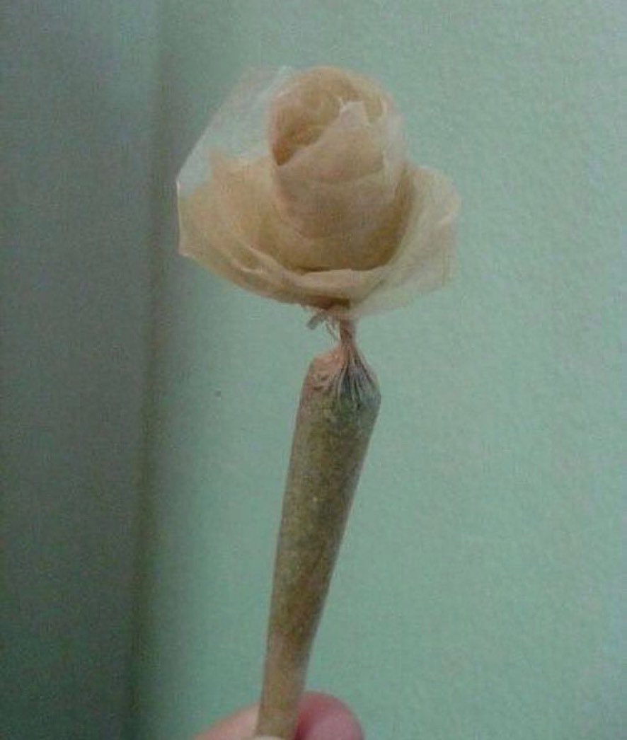 uma flor pra minha flor