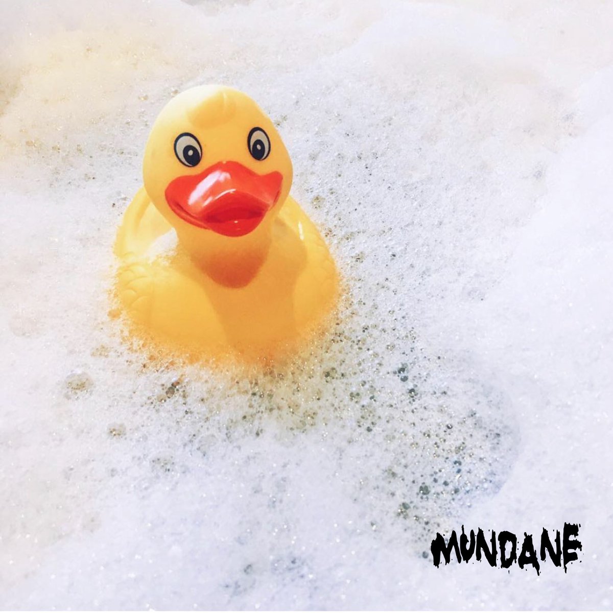 Mundane tweet media