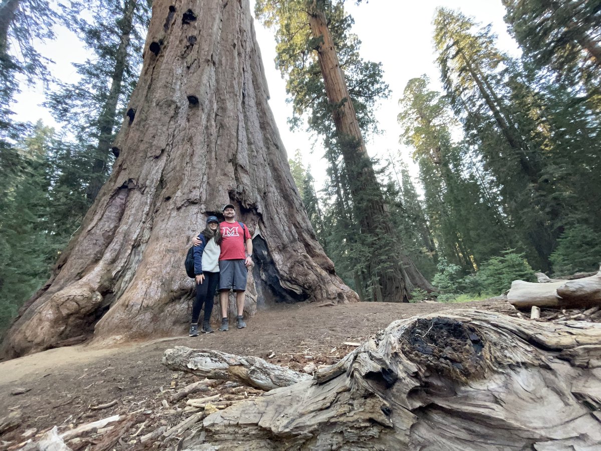 DBReeezy_'s tweet photo. Saw some trees, drank some beer. Have a good weekend gamers. https://t.co/WqjE7KuUjI