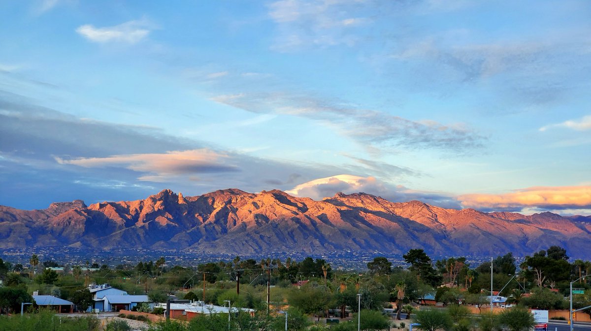 Jenny Zhang, MD 张杰妮 (@jzhang44) on Twitter photo Come and visit the <a href="/UAzPathology/">UArizona Pathology & Laboratory Medicine</a> table at the Fellowship Fair tomorrow! I'll be there to answer questions about the program, our fellowships, and living in Tucson! 🏜️😎🔬 #CAP22 Come and visit the <a href="/UAzPathology/">UArizona Pathology & Laboratory Medicine</a> table at the Fellowship Fair tomorrow! I'll be there to answer questions about the program, our fellowships, and living in Tucson! 🏜️😎🔬 #CAP22