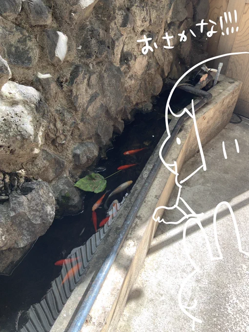 八戸中心街ホテル宿泊記、レポイラストは後々上げるとして写真はちょこちょこ上げていきますね! 