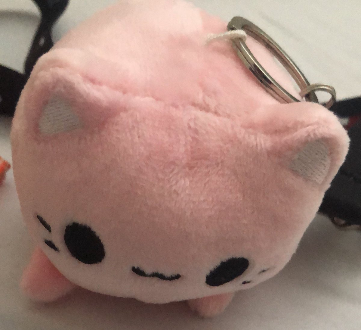 Angelvinity's tweet photo. Thank you for all the birthday posts and wishes I’ve received, it’s honestly really nice to see and read them. Thank you all so much🤭💞🫶🏼(Here is one of my bday presents, wouldn’t be me if I didn’t get something cat related 🤪) https://t.co/ngx2ZDlU01