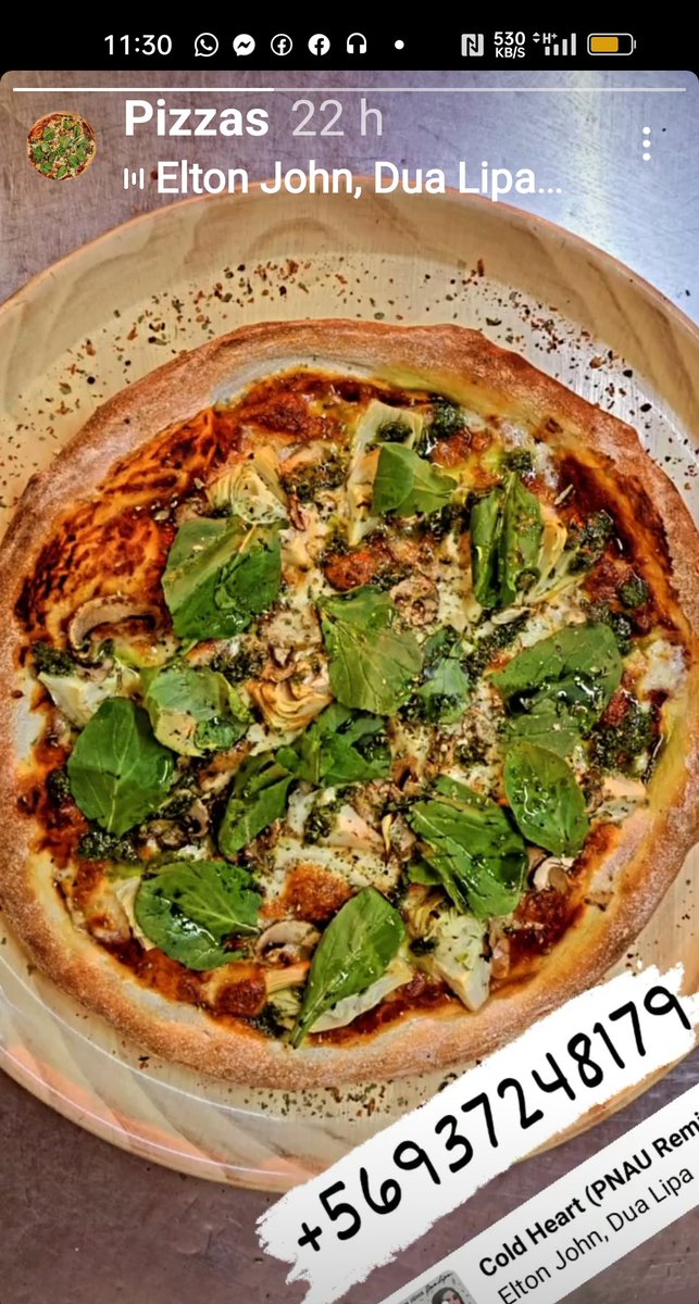 Ayúdenme a promocionar el emprendimiento de mi hijo
TantiPizzas, pizzas artesanales,
Las mejores de La Florida +56937248179