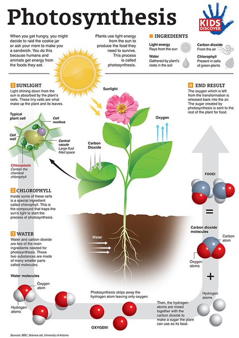 Our world turns on photosynthesis &amp; carbon dioxide is a priceless component of the air we breathe. Professional greenhouses boost CO2 to 1,200ppm to maximise plant growth. This would be an ideal level for CO2 in the atmosphere. Reducing CO2 is a hoax, it will not affect weather.