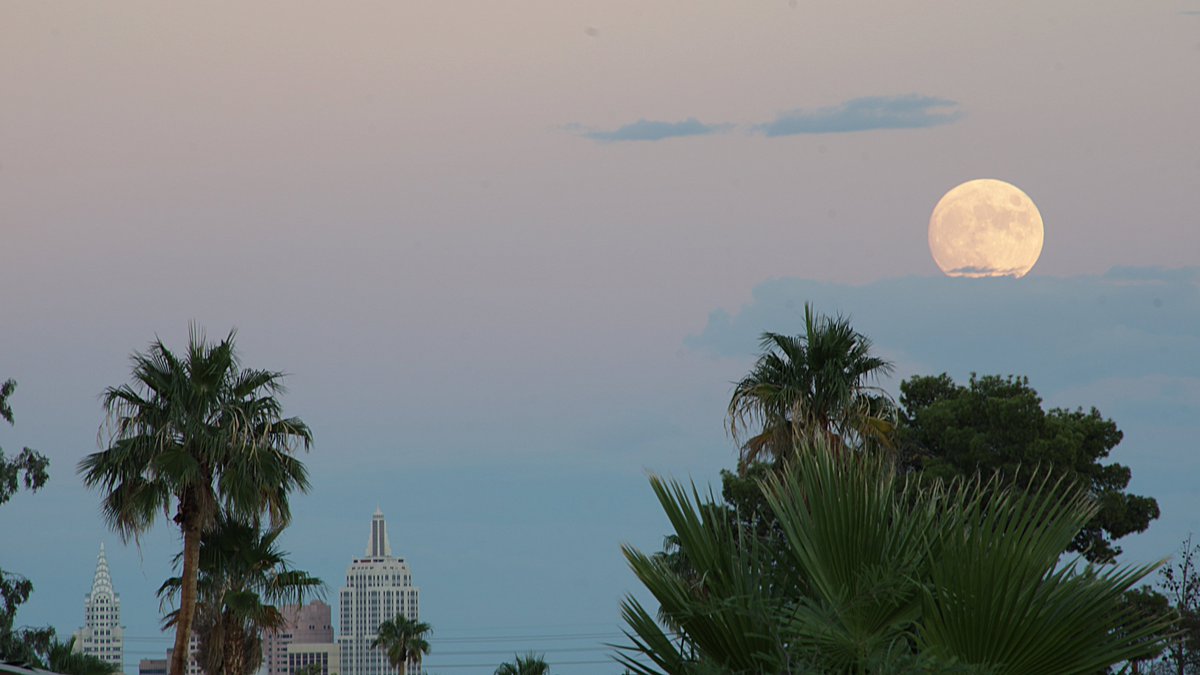 _jsh02's tweet photo. Saturday #MoonRise in #Vegas 
@NYNYVegas 
#DadsForGunSafety
#LasVegas
#Moon
#Luna
#Nasa🚀
#CanonPhotography
#GoOutsideAndLookUp
#ObserveTheMoon
#MoonHour
@StormHour
@ThePhotoHour
@NASAMoon
@maryhardesty_
@SithWitchHatake https://t.co/JaYopPz6og