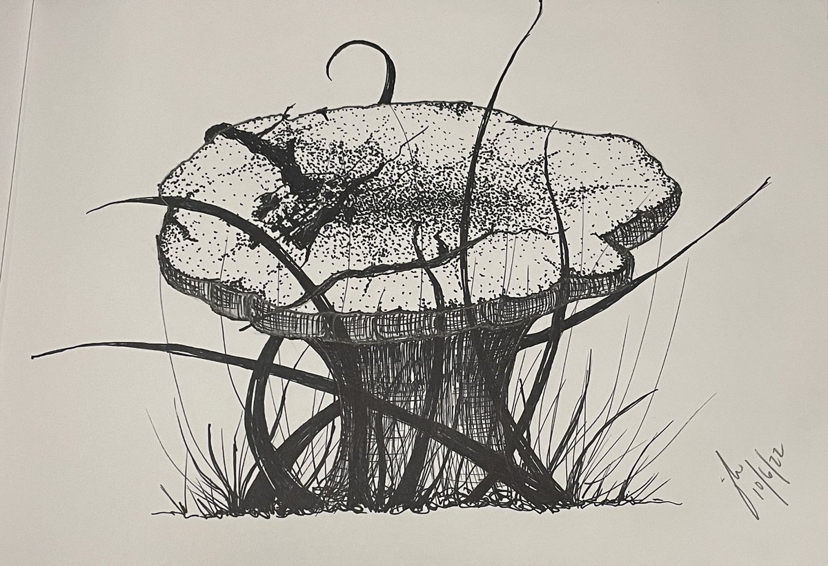 “Flushroom”. Didn’t love this sketch, but hubby called it “fluffy” so here we are.