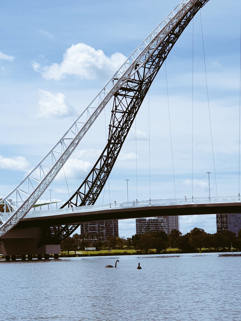 MuzzaDavo's tweet photo. I wonder where the architects got the inspiration for the arched curves? 🦢
#matagarup https://t.co/Ok0xoruInU