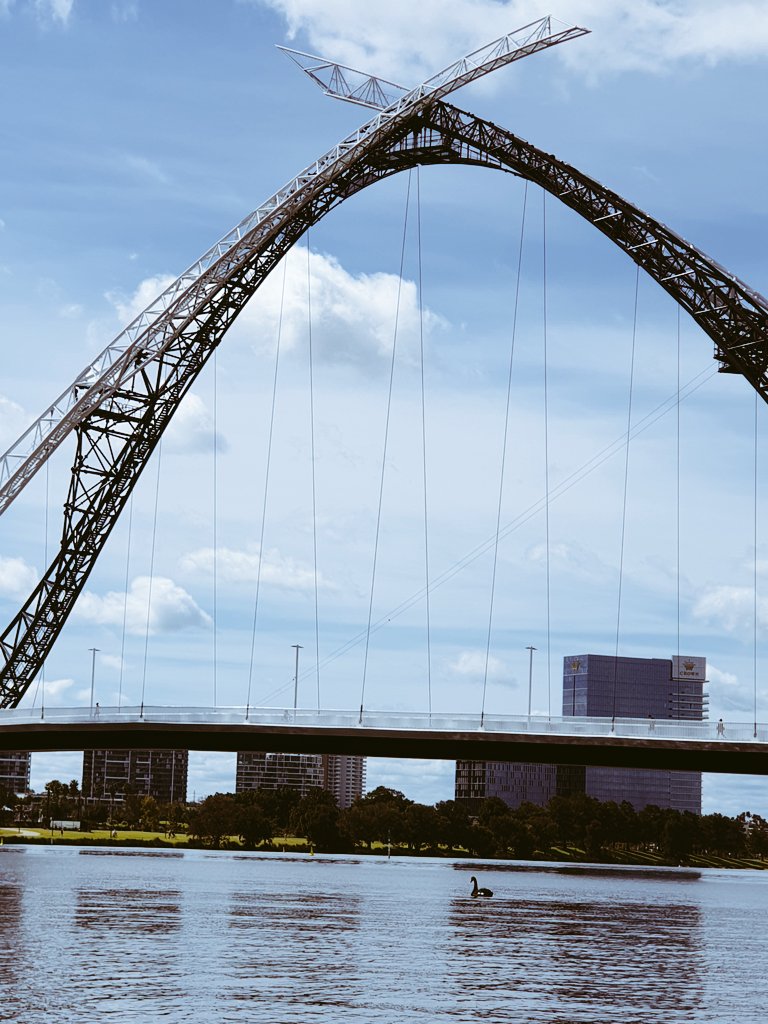 MuzzaDavo's tweet photo. I wonder where the architects got the inspiration for the arched curves? 🦢
#matagarup https://t.co/Ok0xoruInU