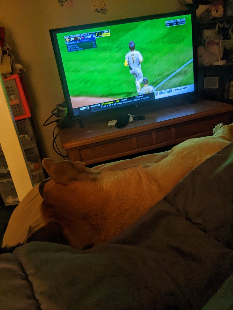 deenahhh1's tweet image. I&apos;m not sure who everyone else is watching the game with  ...but if it&apos;s not with your fur babies..we are not the same #sorrynotsorry 🥰😬
#spoileddoggo ❤️🤞let&apos;s go @Mets 🎉🎉🎉