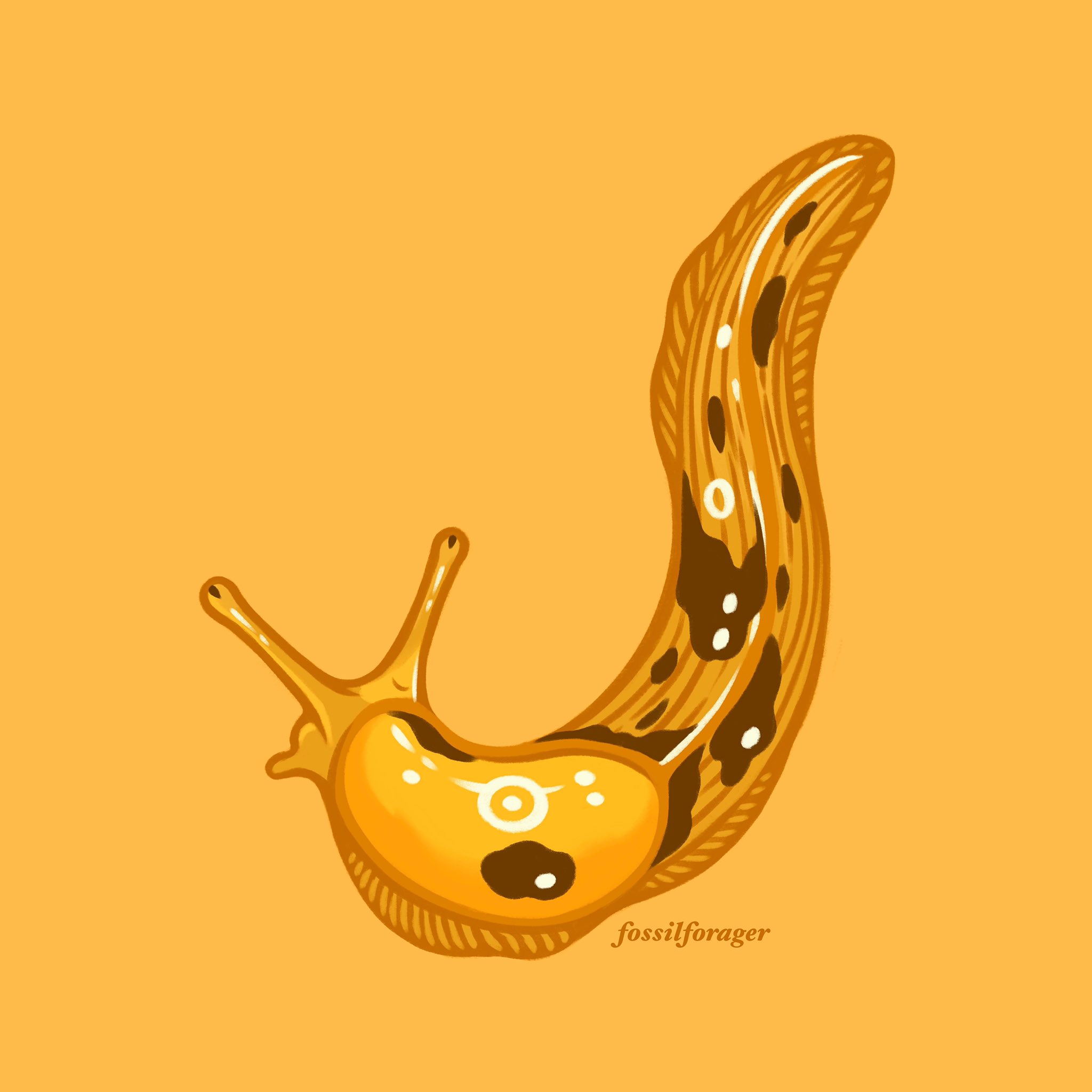 Macabresky on Twitter "RT fossilforager Invertober2022 Day 8