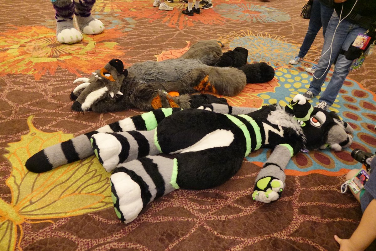 ScathDragon's tweet photo. Gravity is stupid. Avoid it at all costs. The floor, however, is safe and warm. https://t.co/NLckRLGXGl