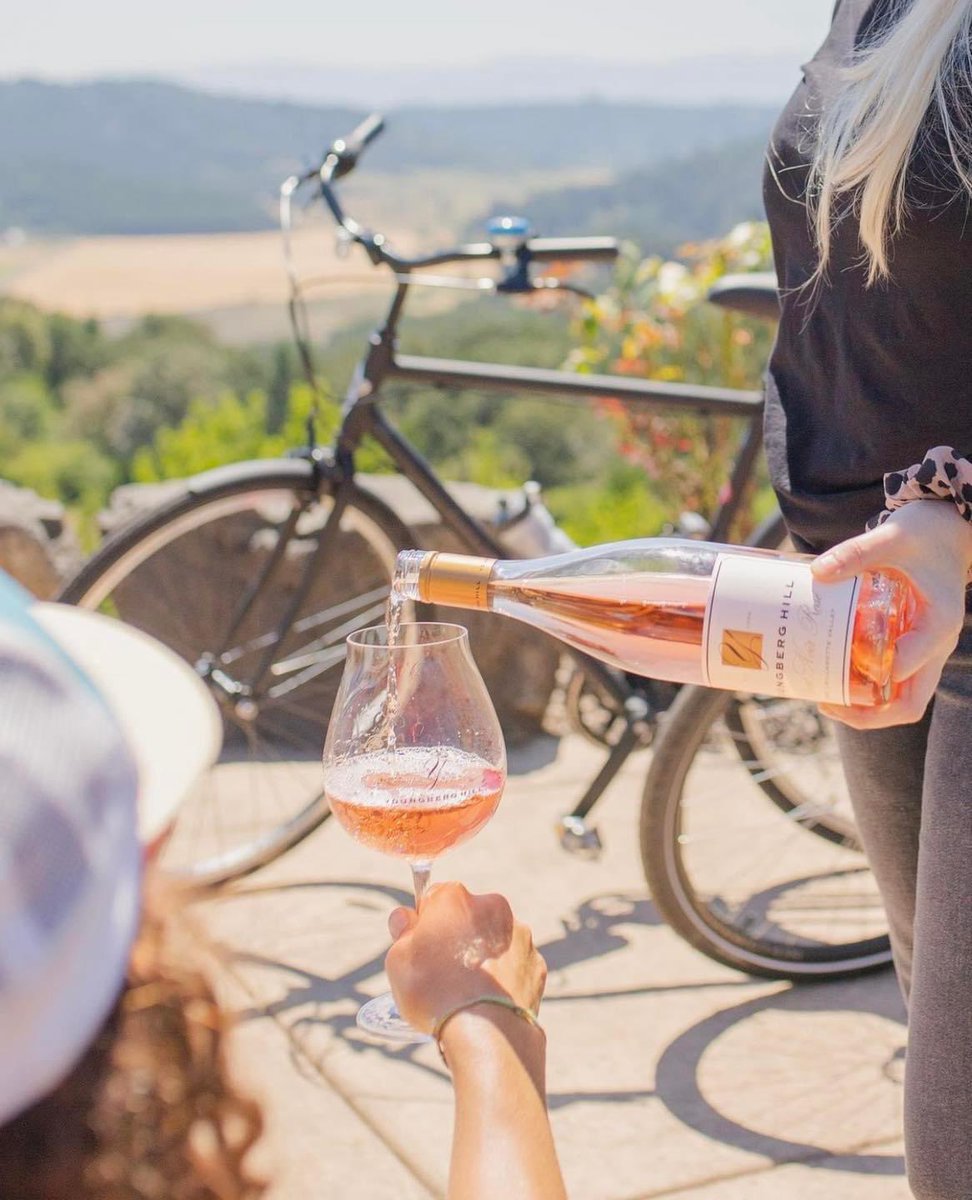 YoungbergHill's tweet photo. Enhance your Willamette Valley experience with a bike rental from Tommy's Bicycle Shop &amp; Youngberg Hill Wine…of course🚲Follow the link for more info

https://t.co/QvRI2oWVs1 https://t.co/6BH1lE9uWE