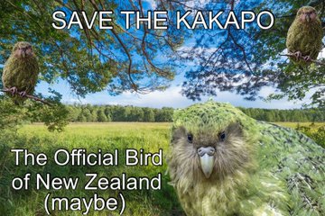 SpaceKees1001's tweet photo. @CryptoThro KAKAPO !!!!!!!!!!!!!!!!!!!!!!!!!!!!!!!!!!#KAKAPO #KAKA  #BSC #ETH #DOGE #ADA #CROGE #MRI #CULT #100XGEMS #1000Xgems #DOGE #SHIB #CATCOIN  #SHIBA #FEG #DAO #squidgrow @KakapoBSC https://t.co/C8ly71Ppqg