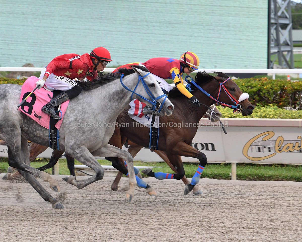 videohipico's tweet photo. Mudshaft, with Ailsa Morrison @LCjockette, wins a thrilling finish in the 9th race for trainer @MJWHorseRacing. #GulfstreamPark #SunshineMeet

Mudshaft, con Ailsa Morrison, gana un vibrante final en la 9.ª carrera para el preparador Matthew Williams. @GulfstreamPark https://t.co/SC3JVVGp55