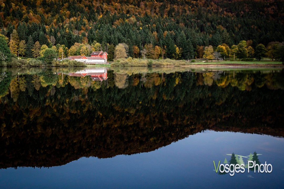 VosgesP's tweet photo. Couleurs de l'automne sur le lac de Retournemer https://t.co/ed1g0wqUfD #Massifdesvosges #lavieenvosges #Montagnesdesvosges #Ballondesvosges #vosgesenphotos #photosdesvosges #vosgestourisme #teamvosgestrotter #jevoislavieenvosges #vosgesaddict… https://t.co/vUar3AcMiB https://t.co/sSvt46QEHO