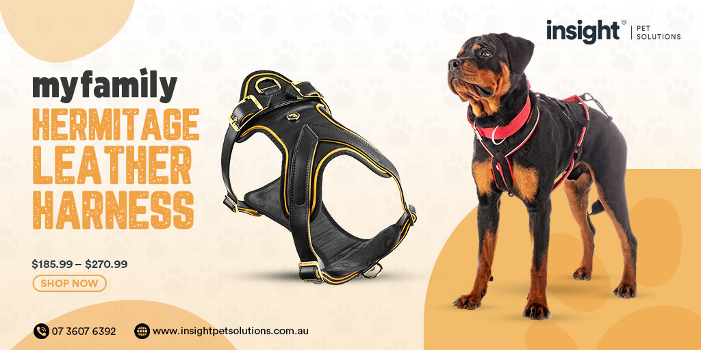 insight_pet's tweet photo. #InsightPetSolutions is here with the #LuxuryProducts. Check out our Hermitage Leather Harness & other luxury items over here.
Visit: https://t.co/H5YGPYBKmA
#myfamilyproduct #doggo #petproducts #supertails #dogharness #Collar #LEASH #DogLead #leatherharness #pawsome #Australia https://t.co/dTMEt3ahob