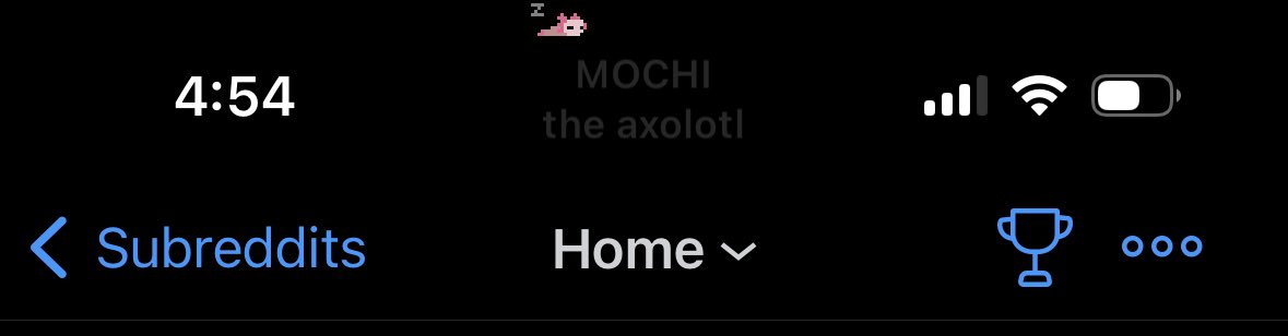 D3codes's tweet photo. @ChristianSelig Obviously the screenshot doesn’t show it, but any chance you could but a small outline around the dynamic island when in dark mode? Right now it just looks like Mochi is floating at the top of my screen 😁 https://t.co/sOcFIG0Z68