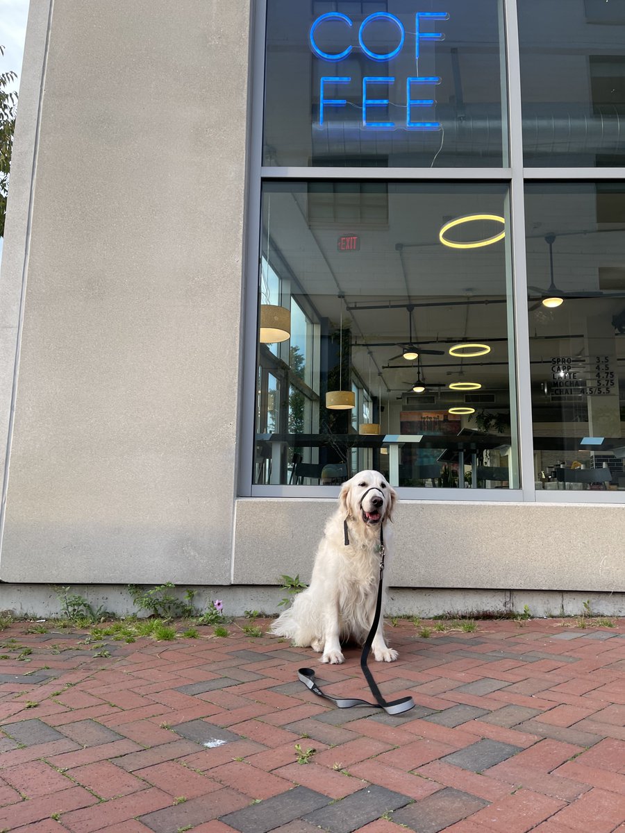 RiverOfNYC's tweet photo. i enjoyed my trip to portland for the #monktoberfest and was sad we had to leave early but i would like to return next year and am working on a presentation https://t.co/NchoEM0sCI