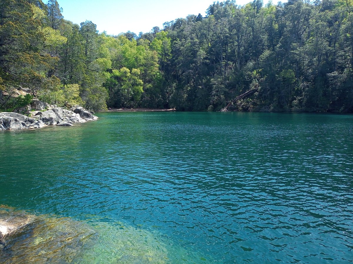 martinbrocardo's tweet photo. #Yuco Playas 1, 2 y 3. Lago #Lacar 🏔️ #Patagonia 🇦🇷 https://t.co/81CenEjJ8i