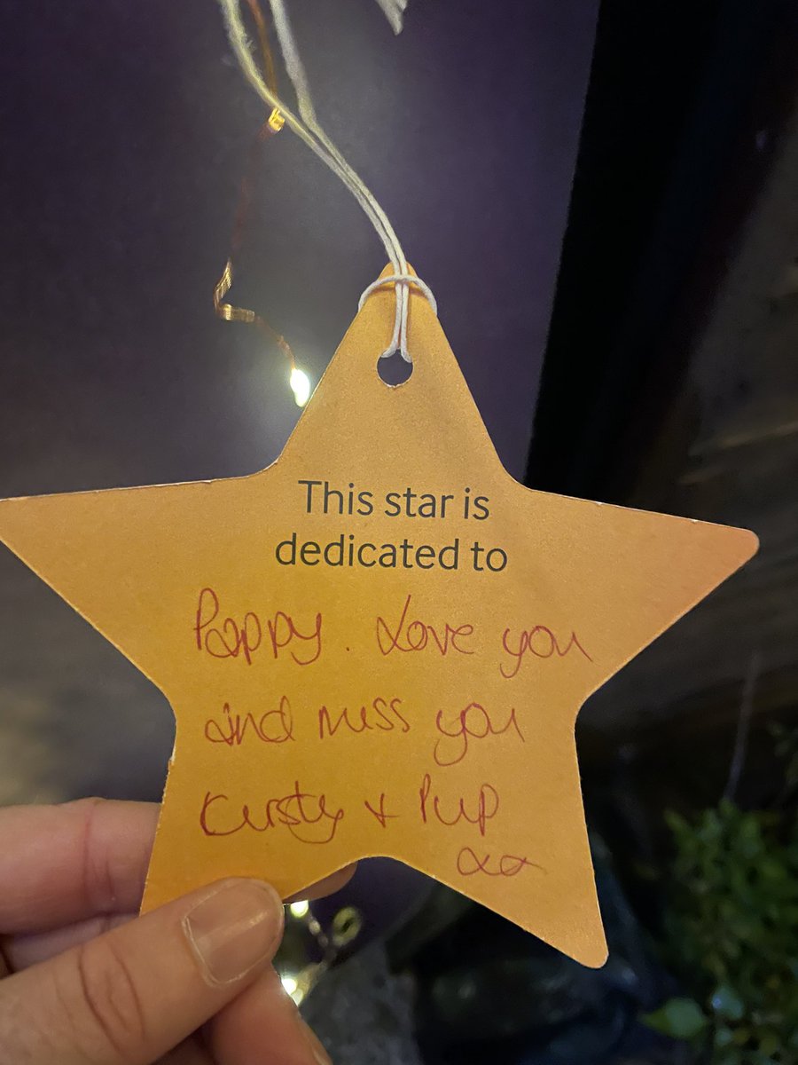 Kirsty Hodgson tweet media