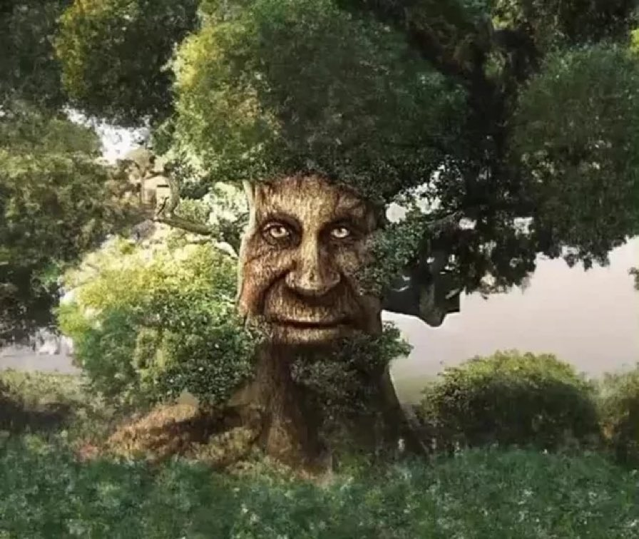 wise mystical tree‼️ (wrong flair? part 2?) : r/alphabetfriends