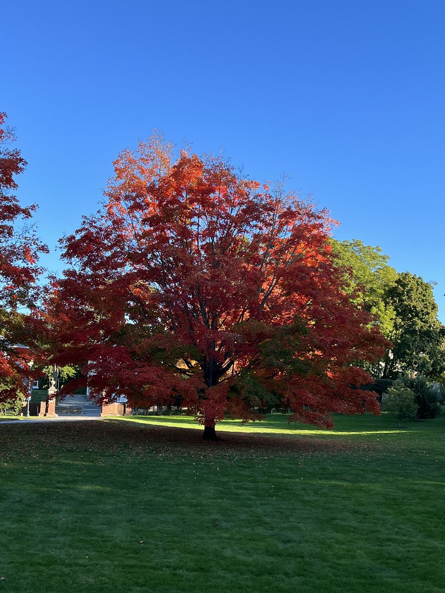 HankWH's tweet image. Red alert! #FallingForFall