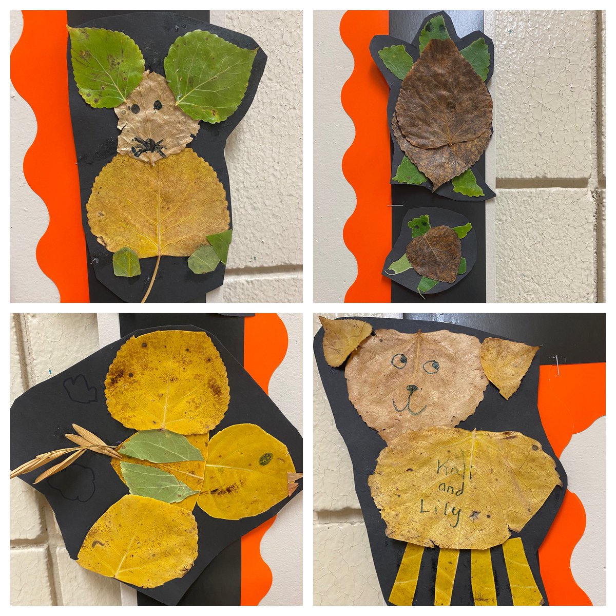 Happy Fall! 🍂🍁