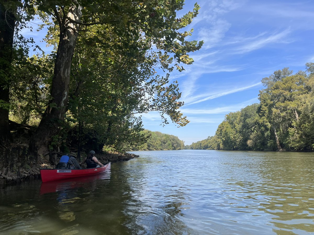 Caitlin Sweeney tweet media