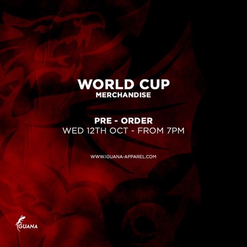 To celebrate another milestone in Welsh sporting history, we’ve recalled the services of comic artist <a href="/PaddyGod1/">Patrick Goddard</a> for our World Cup merchandise… and you’ll be glad to know that he’s smashed it out of the park, again. 

Print run capped.
#walesaway