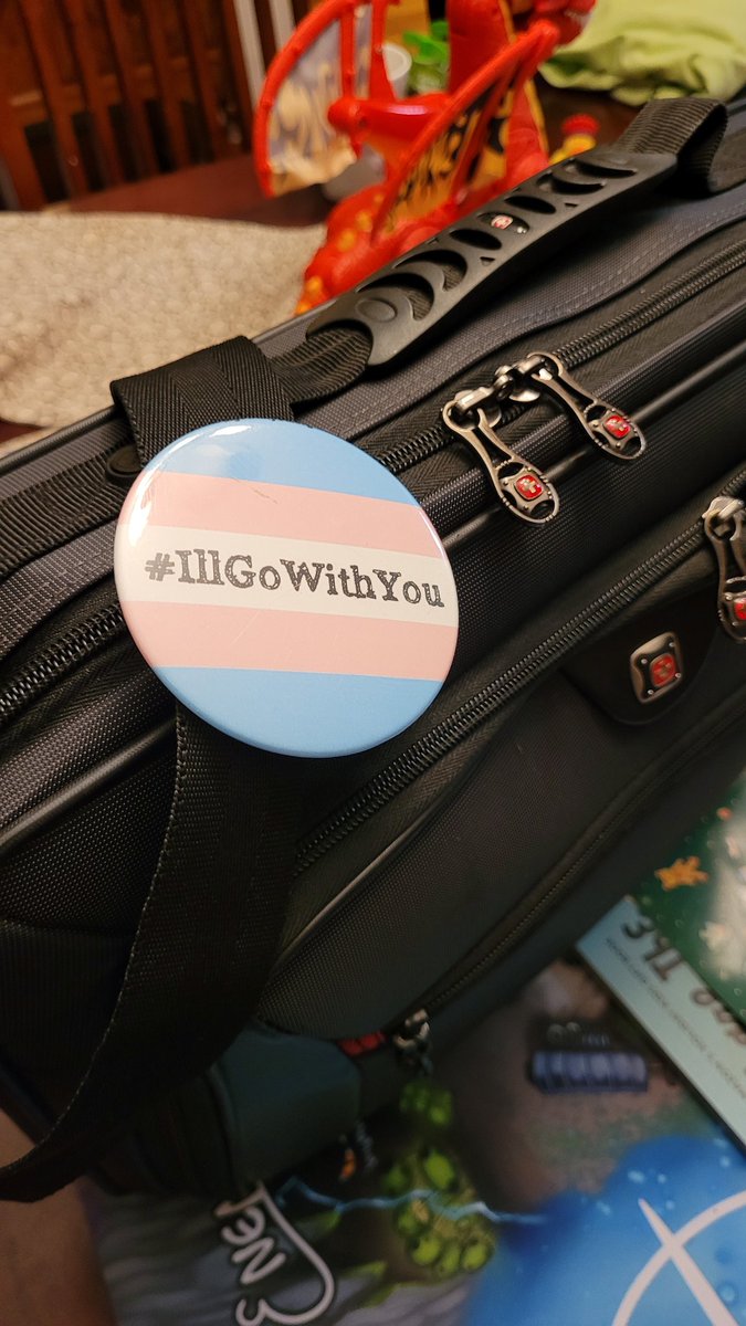 Hyp3rSint4x's tweet photo. Just got home from @retrogamecon . Didn't get in as much networking as I hoped, but I  did get a compliment for my pin #IllGoWithYou #Ally https://t.co/OY7SPNzQdI