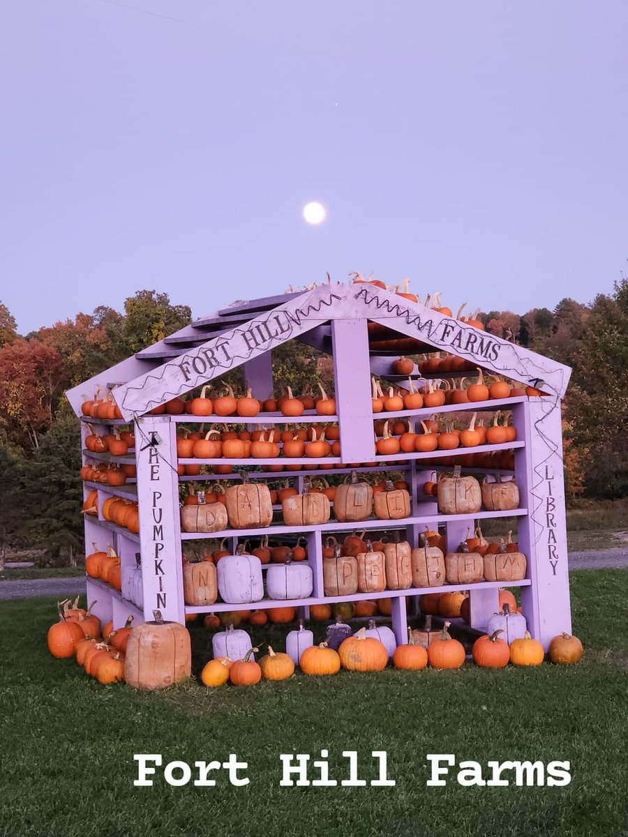 holstein1708's tweet photo. Full Moon, Pumpkins and Cornmaze! Can't get much better than this on a Saturday night!

Flashlight nights are the best with a full moon!

Call/text for more information! 860-234-1153 

Tomorrow's event is still on with GREAT WEATHER!! Henry's Bounce House 12pm-closing! https://t.co/A9HCaWUihm