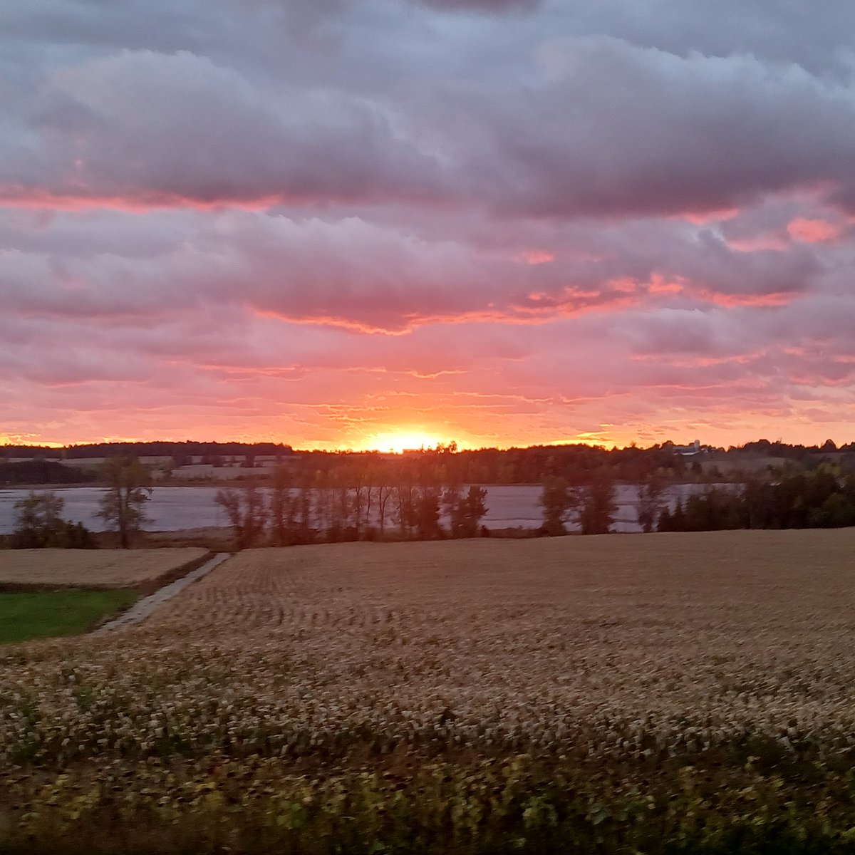 dave_gowan's tweet photo. Thanksgiving sunset https://t.co/p5XcjrawrS