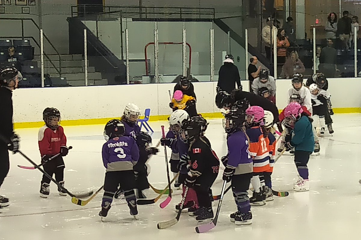 It's World Girls' Ice Hockey Weekend! What better way to celebrate than with dozens of #TLGHA teams and hundreds of #Wildcats in action across the province. Happy #WGIHW!