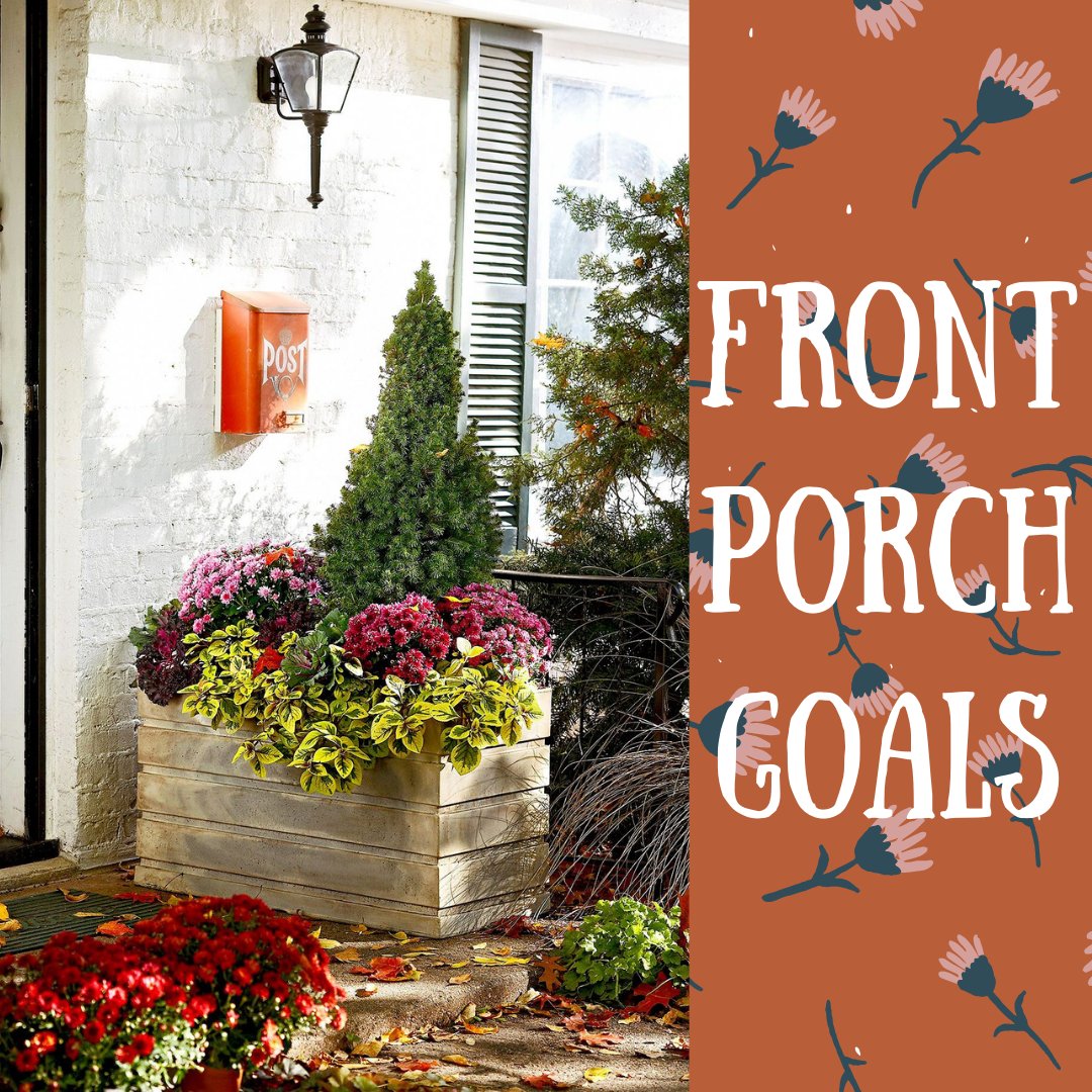 shellsfeed's tweet photo. Get your front porch ready this October with al of our fall flowers and vegetables in store today! #shoplocal #hellofall https://t.co/YwUeAvBpzx
