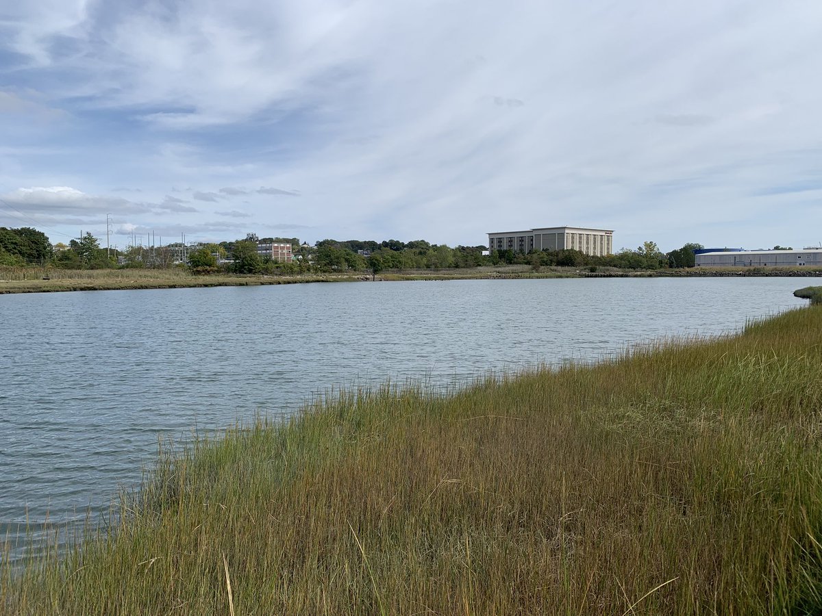 GreenRootsEJ's tweet photo. (2/2) This is about #EnvironmentalJustice, land sovereignty & creating #WaterfrontAccess for ALL, not just the wealthy. We need all the help we can get!
@CJAOurPower, @CLF, @AceEJ @MysticMyRWA, @N2Nma, @CPAJustice, @NAICOB91, @PeopleforCSJ, @CityLife_Clvu, @UFE, @GrassrootsIntl https://t.co/PDd2rad6pk