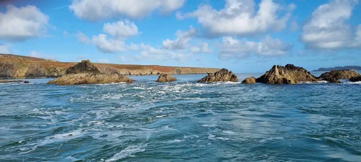ruthrwltd's tweet photo. This boat exploration around Ramsey Island with Thousand Island Expeditions @RamseyIslandFun is 1 of the best #naturelovers experiences in #Wales 👍🌊 @visitwales https://t.co/fk1EcRM2Jo