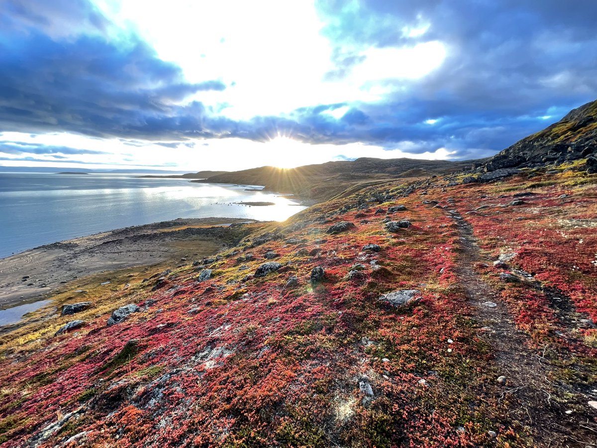 Inukpak_O's tweet photo. Hiking on the beautiful changing colours Arctic tundra! Fall is definitely here! 🍂

#iqaluit #nunavut #inukpakoutfitting #truearcticexperience #destinationnunavut #spiritofthearctic #travelnunavut #shopnu #hiking #thiscouldbeyou #hikingadventure 
#arctictravel #bucketlisttravel https://t.co/XpXIV1WYQa