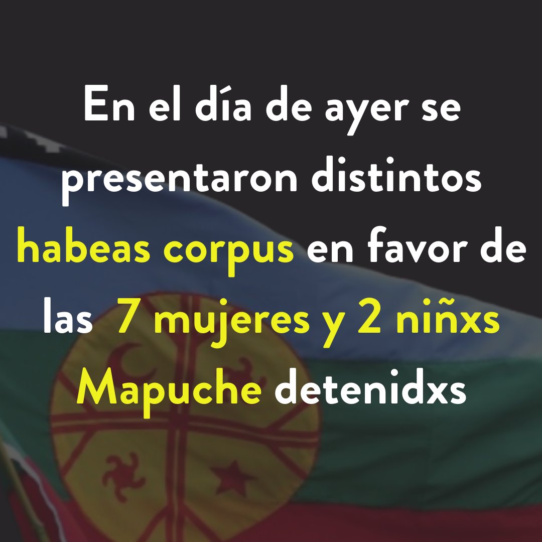 REDASA tweet media