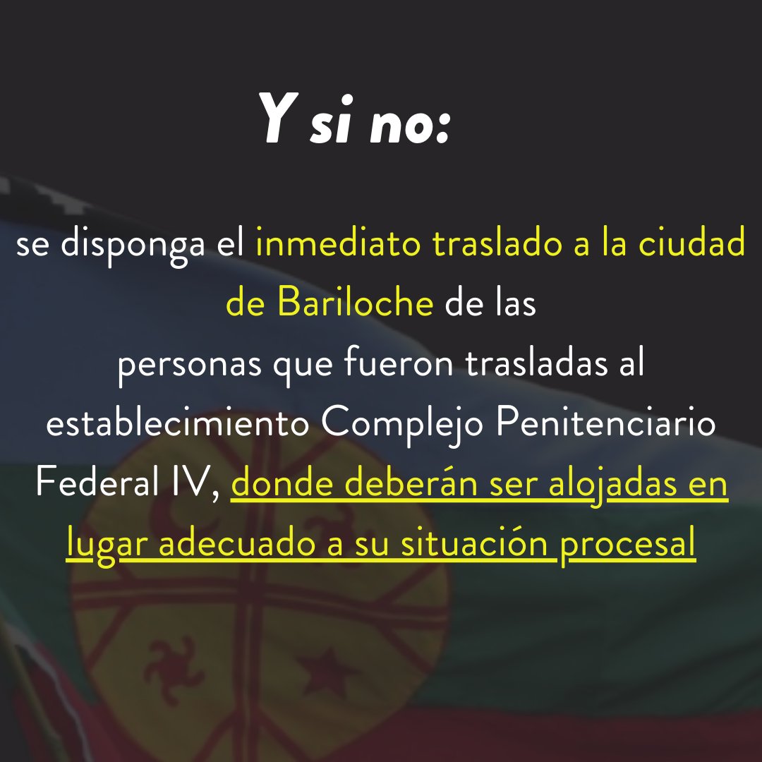 REDASA tweet media