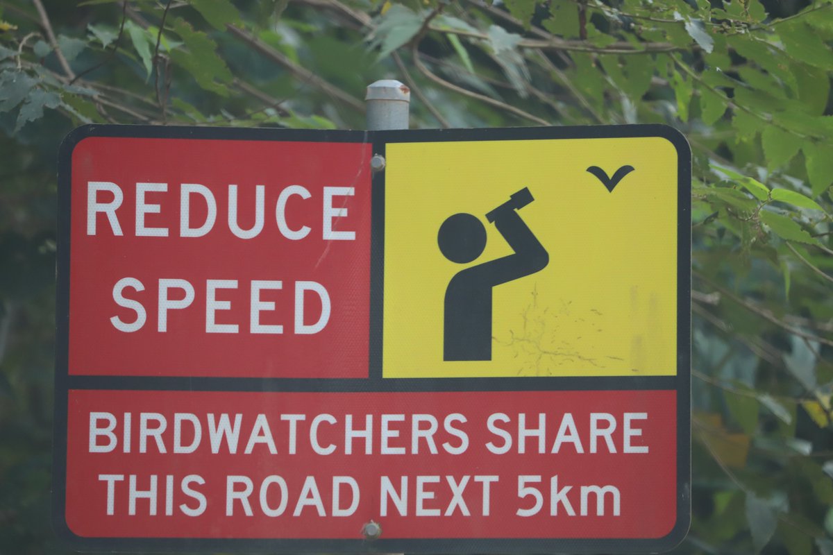 arthur_chapman's tweet photo. I am sure we can all relate #ebird #iNaturalist #birdwatchers - in Kutini-Payamu (Iron Range) National Park, Queensland https://t.co/qSDiS4Mun4