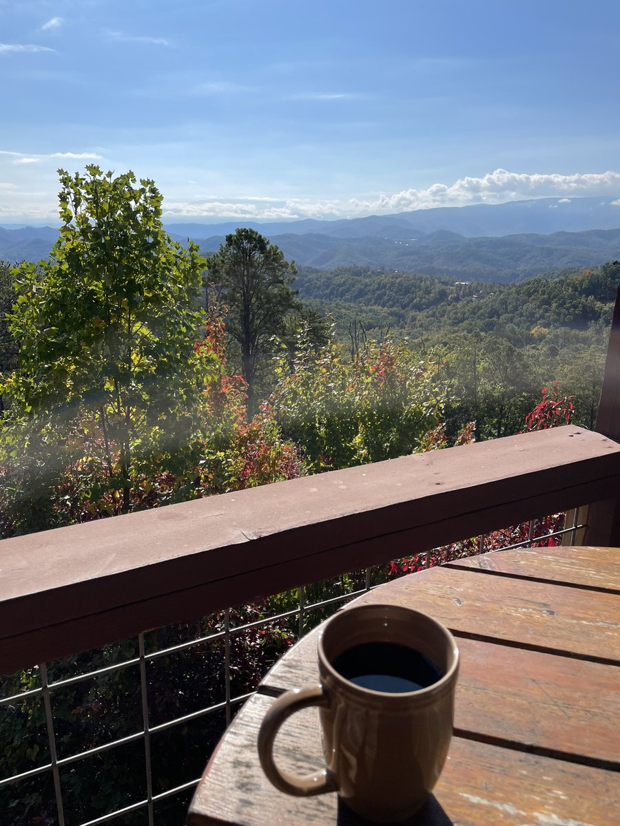 Hady Lichaa, MD, FACC, FSCAI, FSVM, RPVI tweet media