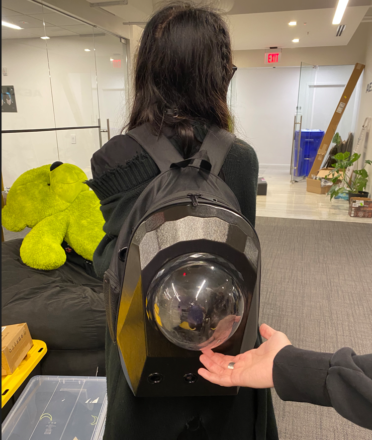 I need to go back to Miami! I forgot something. 🐈‍⬛<a href="/futurevirgo/">Virgo</a>