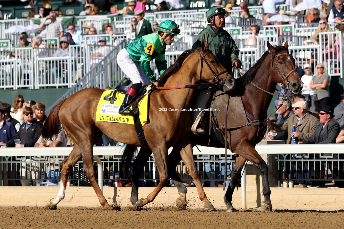 casey_laughter's tweet photo. In Italian (GB) (Dubawi) wins the Grade One First Lady at @keeneland going gate to wire. The likely plan is for her to go the Filly &amp; Mare Turf for owner Peter Brant and trainer @TheRealChadCBr1. @JRosarioJockey @BloodHorse #PeterBrant #ChadBrown https://t.co/ukySTfzBRD